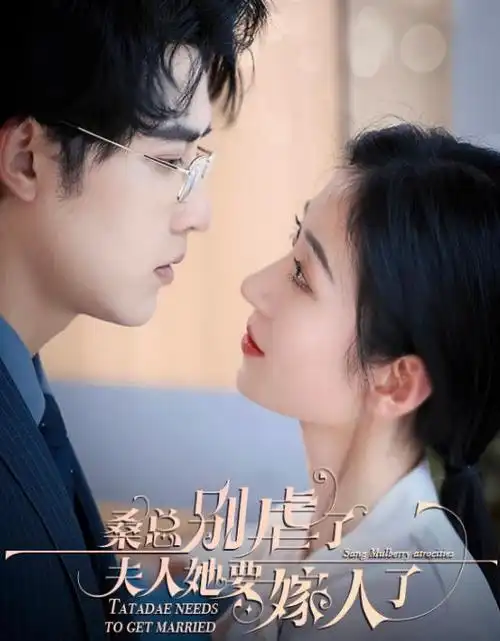 长风渡月 热播电视剧全集免费观看